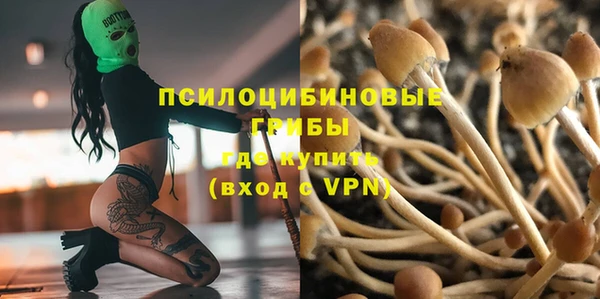 дмт Дмитриев