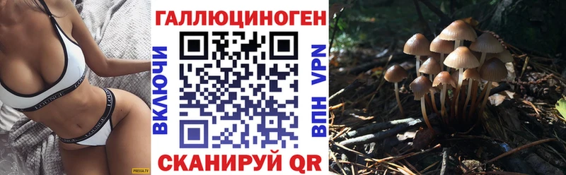 Псилоцибиновые грибы мицелий  KRAKEN как зайти  Северская  что такое наркотик 