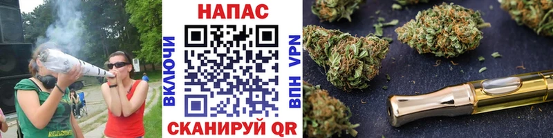 Канабис гибрид  Северская 